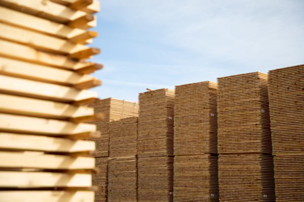 ECG 150 S&ouml;dra Wood V&auml;r&ouml; 13.jpg